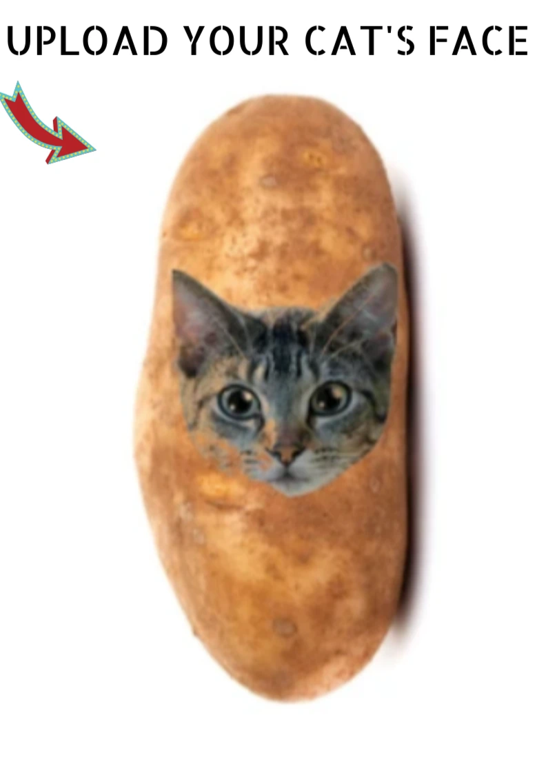 Potato Kitty