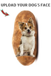 Potato Puppy