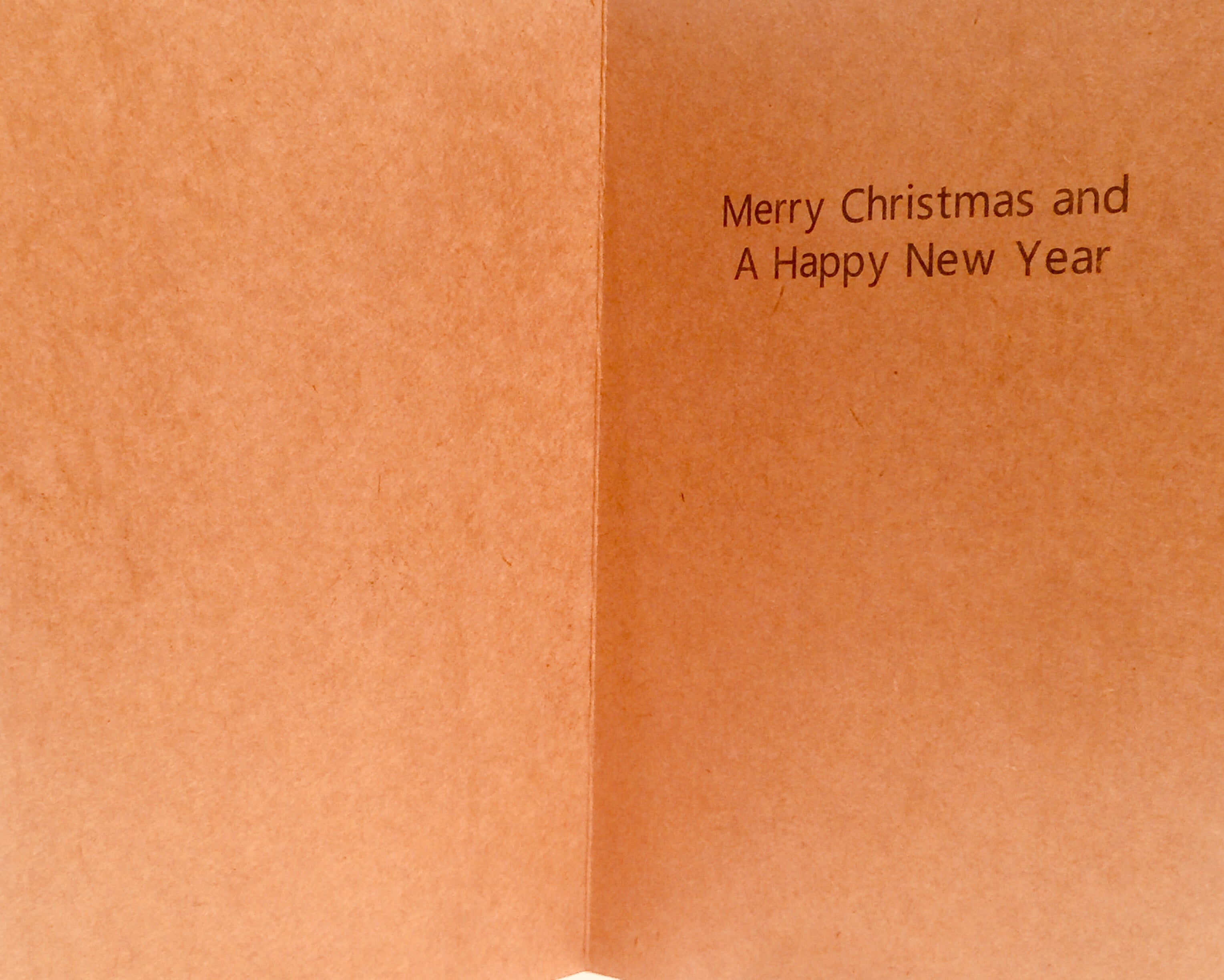 🎅🎄🎆  Christmas 2025 & New Year Combo Potato Bundle